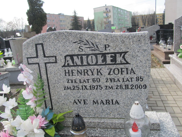 Wiesław Aniolek 1954 Krasnystaw - Grobonet - Wyszukiwarka osób pochowanych