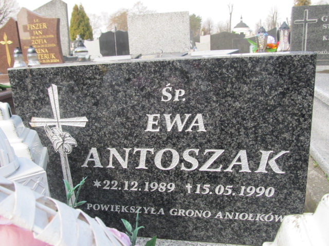 Ewa Antoszak 1989 Krasnystaw - Grobonet - Wyszukiwarka osób pochowanych