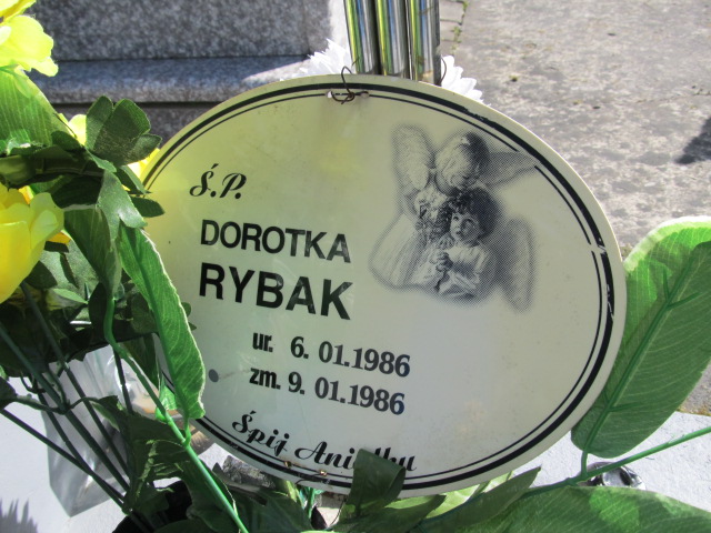 Dorota Rybak 1986 Krasnystaw - Grobonet - Wyszukiwarka osób pochowanych