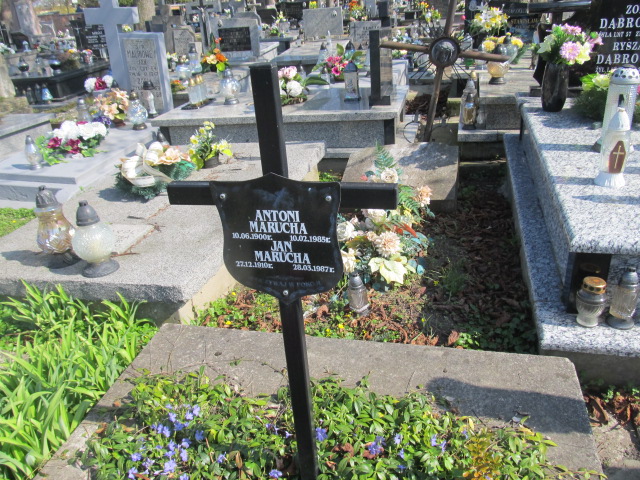 Jan Marucha 1910 Krasnystaw - Grobonet - Wyszukiwarka osób pochowanych